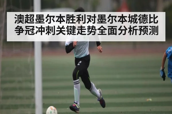 澳超墨尔本胜利对墨尔本城德比争冠冲刺关键走势全面分析预测